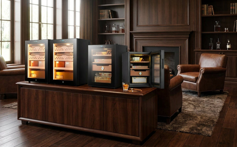 Cigar Humidors